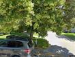 230 s 13th ave, pocatello,  ID 83201