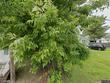  rockland,  ME 04841